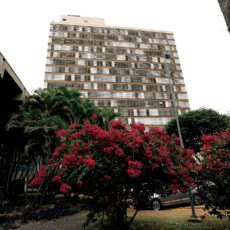 Quem são os candidatos a prefeito de Campinas nas eleições municipais de 2024