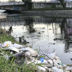 Eleições municipais e as metas de universalização do saneamento básico