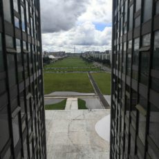 A ilusão do comando e controle: multas milionárias e baixa arrecadação