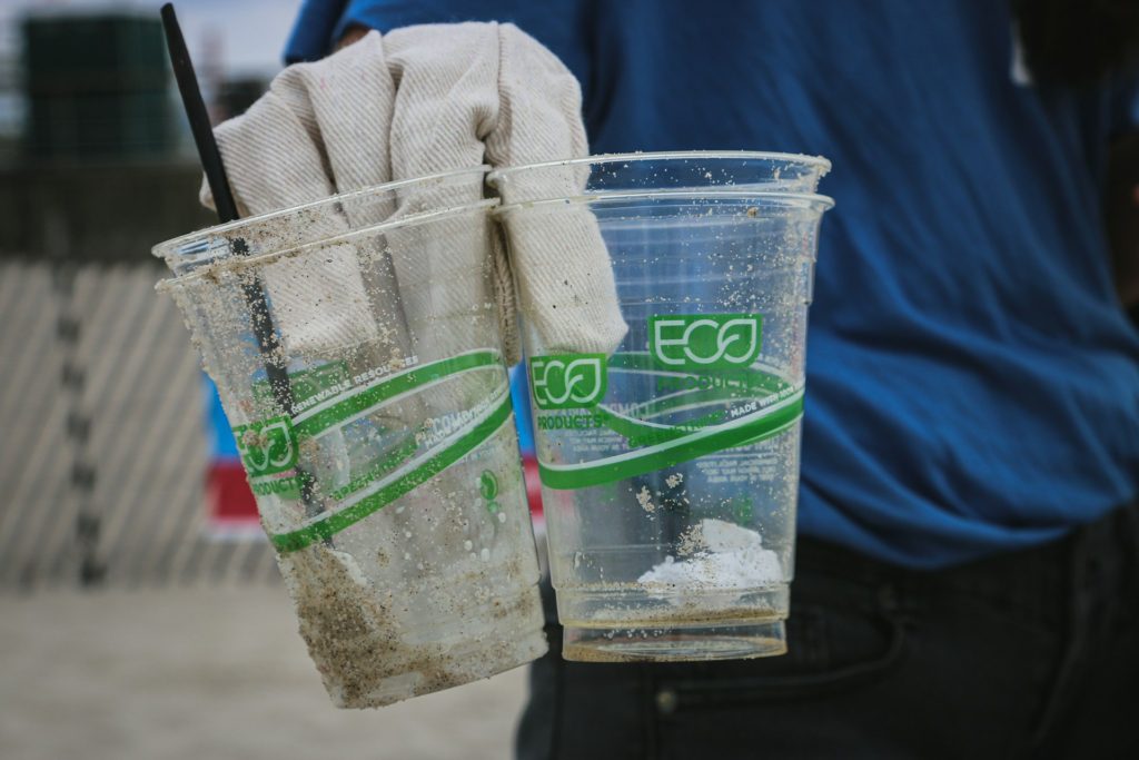 A força do consumo sustentável contra o greenwashing