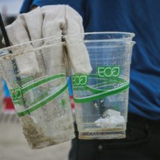 A força do consumo sustentável contra o greenwashing