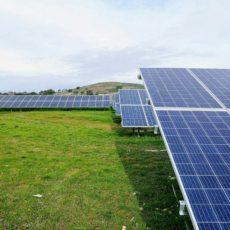 Dupla colheita: os benefícios do agrivoltaico no Brasil