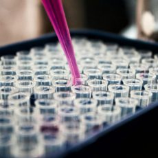 Produtos utilizados em estudos clínicos