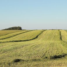 Arrendamento como atividade rural para fins do IR