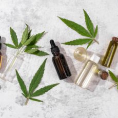 O futuro da Cannabis medicinal no Brasil