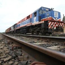 Privatização da Ferroeste: desafios e oportunidades para a infraestrutura