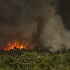 Relações perigosas: incêndios e redes de eletricidade