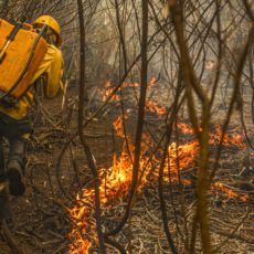 Fumaça mostra que fogo é risco para todo o país, não só Amazônia e Pantanal