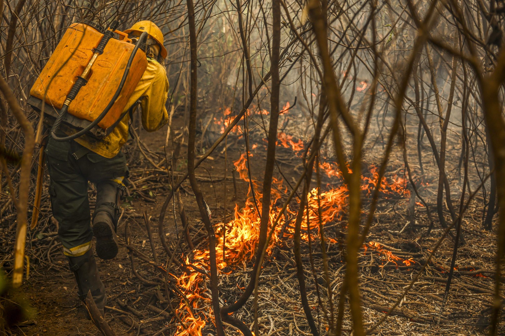 Fumaça mostra que fogo é risco para todo o país, não só Amazônia e Pantanal