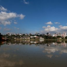Quem são os candidatos à Prefeitura de Curitiba nas eleições municipais 2024