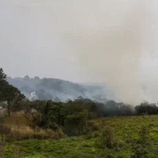 O alcance do fogo e dos stakeholders