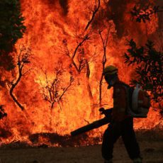 Qual o nível de resiliência do ESG?