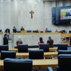 Do TikTok para as Câmaras Municipais: como visualizações viram votos