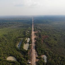 BR-319: Desembargador suspende liminar e licença-prévia para obras volta a ter efeito
