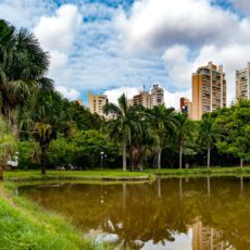 Quem são e quais os números dos candidatos a vereador de Goiânia nas eleições 2024