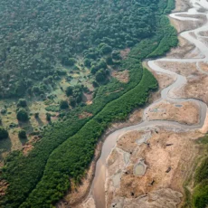 Mudanças climáticas e perda de padrões sazonais: o novo desafio energético