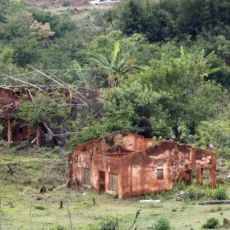 Dino suspende pagamentos ad exitum de Brumadinho e Mariana a escritórios estrangeiros