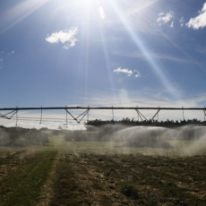 Os desafios relacionados à força de trabalho no campo