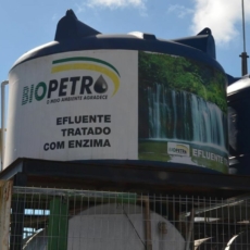 Créditos de carbono: TRF1 critica volatilidade e converte depósito judicial em CBIO