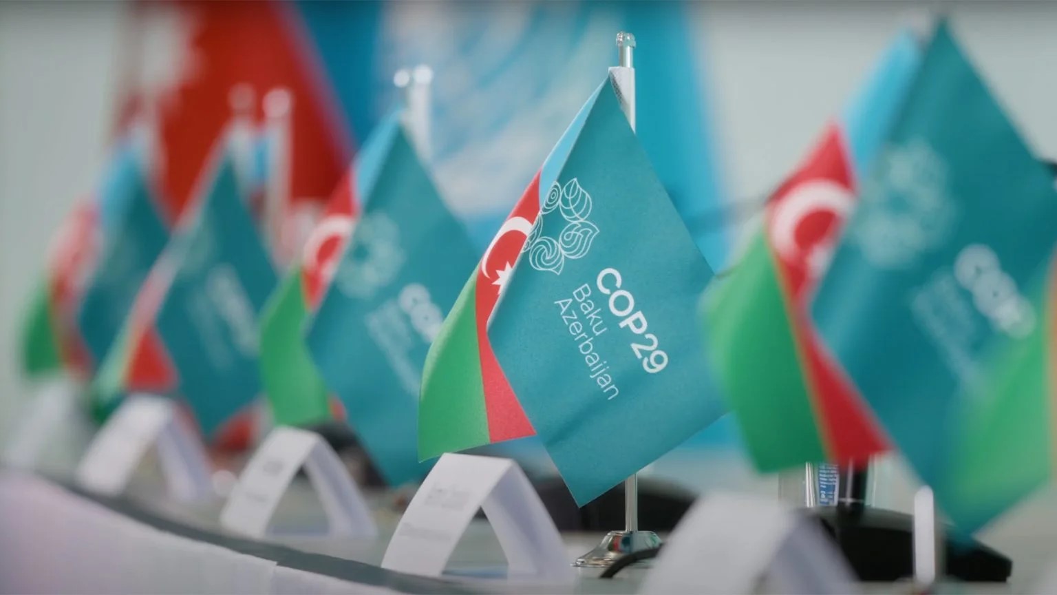 cop-29