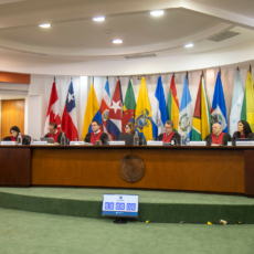 Cabe à Corte IDH controlar o processo legislativo nos países-membros?