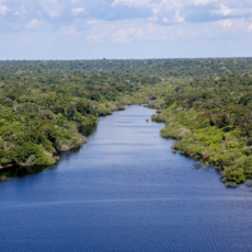 Empresas estatais e a sustentabilidade: entre oportunidades e riscos