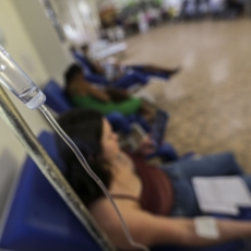 Judicialização da saúde e lacunas no acesso à cirurgia transexualizadora pelo SUS