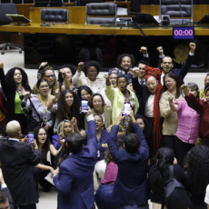 Câmara aprova PL que amplia cotas no Executivo federal