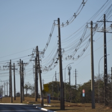 Como financiar o combate à pobreza energética