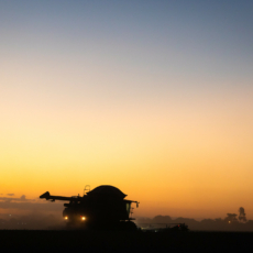 Mercado de carbono no Brasil: agro perde a oportunidade de investir em sustentabilidade