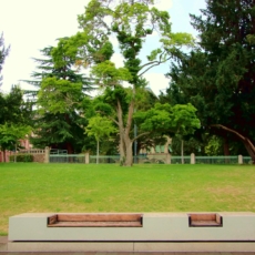 ALRS aprova projeto que estabelece diretrizes para planos municipais de arborização urbana