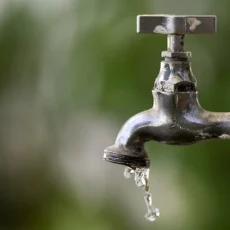Entre a desesperança climática e a esperança ativa
