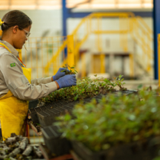 Objetivos para o trabalho sustentável