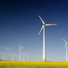 Carf libera dedução de IRPJ em reorganização societária no setor de energia