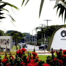 Como fazer a nova Lei de Licitações dar certo?