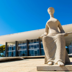 Defensoria Pública como custos vulnerabilis em ações no STF