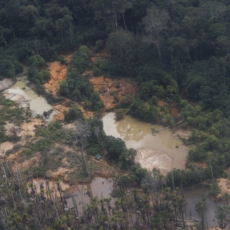 A armadilha do licenciamento ambiental dos garimpos no Pará