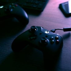 Despesas com pagamento de royalties sobre softwares são indedutíveis, decide Carf