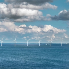 Senado deve votar Paten e PL sobre eólicas offshore nesta semana em plenário