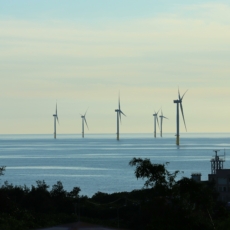 Senado aprova marco legal das eólicas offshore com subsídios; texto vai à sanção