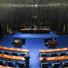 Assistencialismo estatal, liberação de emendas parlamentares e reeleição de prefeitos