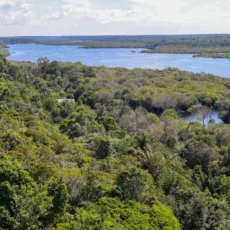 A urgência de bons projetos para enfrentar os desafios climáticos