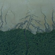 MPF recomenda à ANP que suspenda leilão de 47 blocos na foz do Amazonas