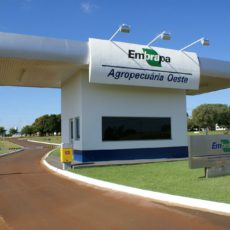 Fachin suspende execução de dívida sob a Embrapa: ‘Não se submete ao regime comum’
