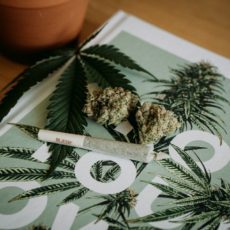 Abolitio criminis e o porte de drogas para uso pessoal