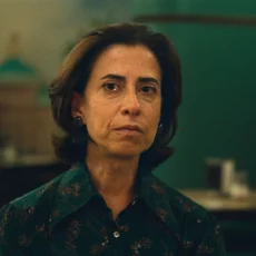 Por que o talento de Fernanda Torres não é capaz de unir o país?