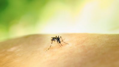 Dino garante indenização a vítimas do vírus Zika mesmo se MP perder validade