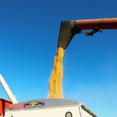 A Contribuição Especial de Grãos do Maranhão e o risco de proliferação de contribuições estaduais
