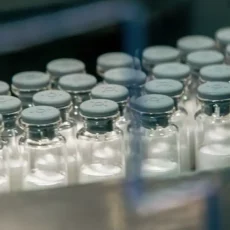 Vacina da Dengue: Butantan inicia a produção de novo imunizante de dose única