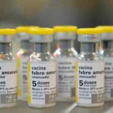 Febre Amarela: SP tem janeiro mais letal que todo 2024 e convoca vacinação